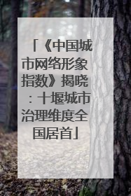 《中国城市网络形象指数》揭晓：十堰城市治理维度全国居首