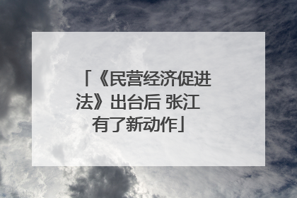 《民营经济促进法》出台后 张江有了新动作