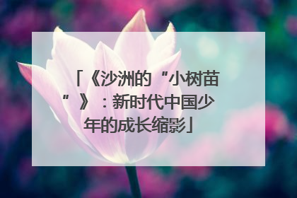 《沙洲的“小树苗”》：新时代中国少年的成长缩影