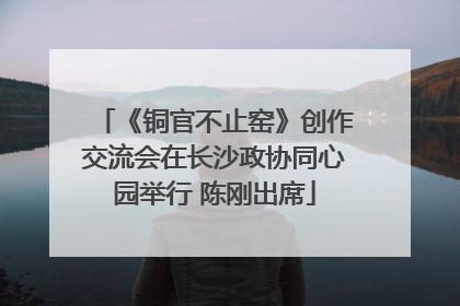 《铜官不止窑》创作交流会在长沙政协同心园举行 陈刚出席