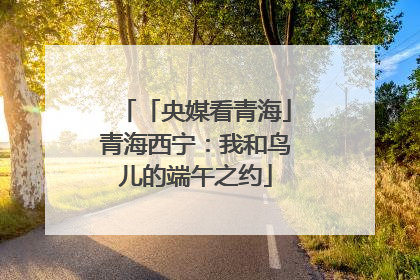 「央媒看青海」青海西宁：我和鸟儿的端午之约