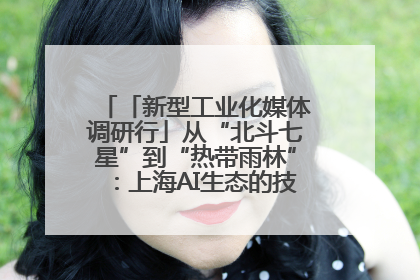 「新型工业化媒体调研行」从“北斗七星”到“热带雨林”：上海AI生态的技术商业共生密码