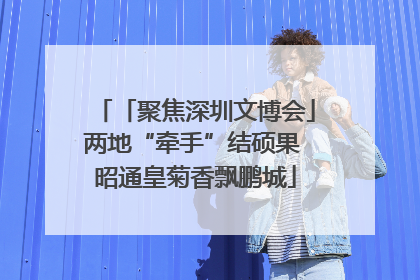 「聚焦深圳文博会」两地“牵手”结硕果 昭通皇菊香飘鹏城