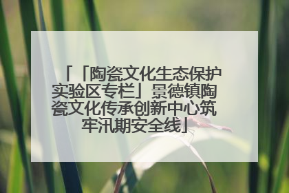 「陶瓷文化生态保护实验区专栏」景德镇陶瓷文化传承创新中心筑牢汛期安全线