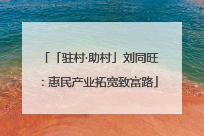 「驻村·助村」刘同旺：惠民产业拓宽致富路