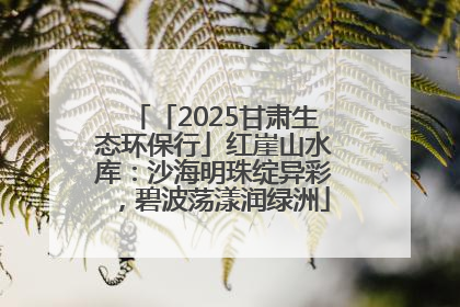 「2025甘肃生态环保行」红崖山水库：沙海明珠绽异彩，碧波荡漾润绿洲