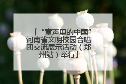 “童声里的中国”河南省文明校园合唱团交流展示活动（郑州站）举行