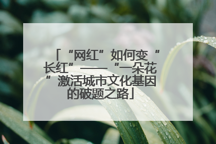 “网红”如何变“长红”——“一朵花”激活城市文化基因的破题之路