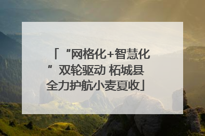 “网格化+智慧化”双轮驱动 柘城县全力护航小麦夏收