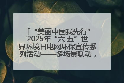 “美丽中国我先行” 2025年“六·五”世界环境日电网环保宣传系列活动——多场景联动，共筑生态发展新图景