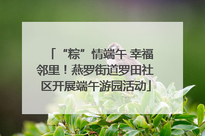 “粽”情端午 幸福邻里！燕罗街道罗田社区开展端午游园活动