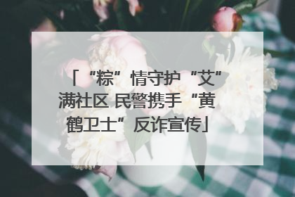 “粽”情守护“艾”满社区 民警携手“黄鹤卫士”反诈宣传