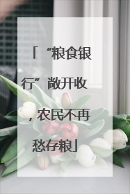 “粮食银行”敞开收，农民不再愁存粮