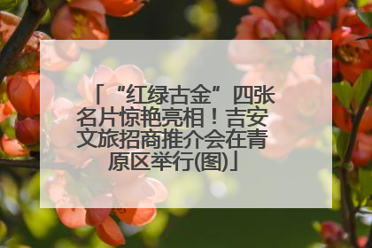 “红绿古金”四张名片惊艳亮相！吉安文旅招商推介会在青原区举行(图)
