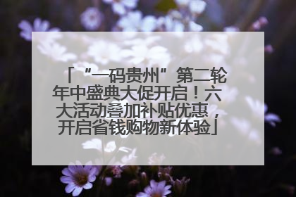 “一码贵州”第二轮年中盛典大促开启！六大活动叠加补贴优惠，开启省钱购物新体验