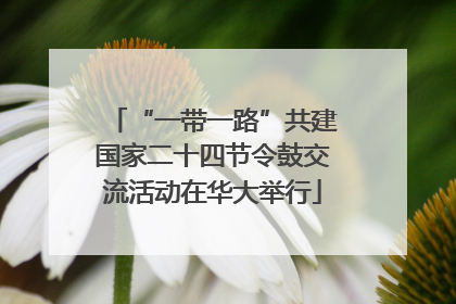 “一带一路”共建国家二十四节令鼓交流活动在华大举行