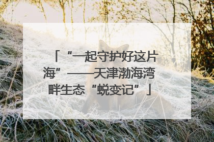 “一起守护好这片海”——天津渤海湾畔生态“蜕变记”