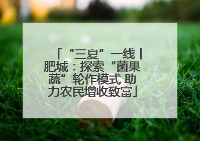 “三夏”一线丨肥城：探索“菌果蔬”轮作模式 助力农民增收致富