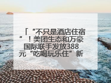 “不只是酒店住宿”！美团生态和万豪国际联手发放388元“吃喝玩乐住”新会员礼包
