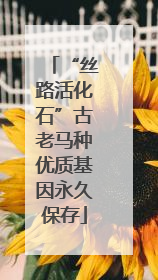 “丝路活化石”古老马种优质基因永久保存
