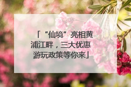 “仙境”亮相黄浦江畔，三大优惠游玩政策等你来