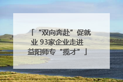 “双向奔赴”促就业 93家企业走进益阳师专“揽才”