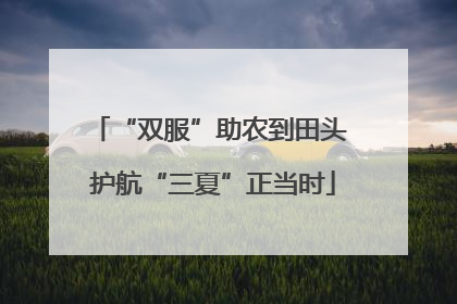 “双服”助农到田头 护航“三夏”正当时