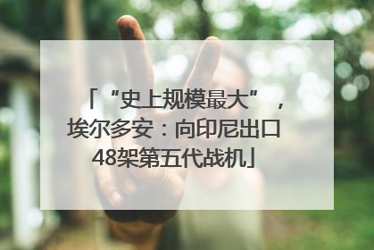 “史上规模最大”，埃尔多安：向印尼出口48架第五代战机