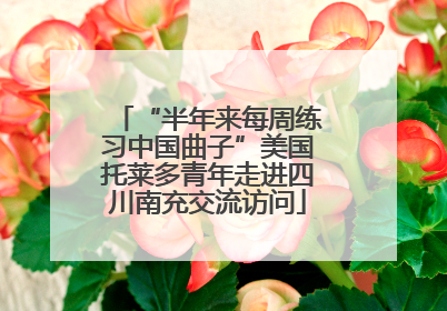 “半年来每周练习中国曲子”美国托莱多青年走进四川南充交流访问