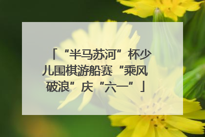 “半马苏河”杯少儿围棋游船赛“乘风破浪”庆“六一”