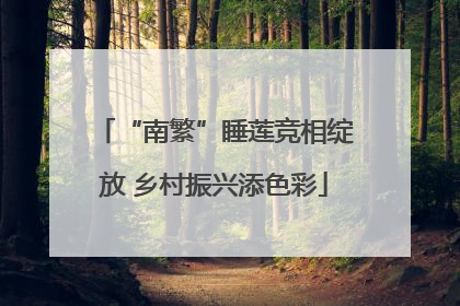 “南繁”睡莲竞相绽放 乡村振兴添色彩