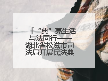 “典”亮生活 与法同行——湖北省松滋市司法局开展民法典宣传系列活动