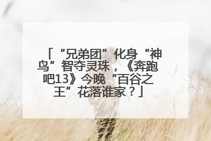 “兄弟团”化身“神鸟”智夺灵珠，《奔跑吧13》今晚“百谷之王”花落谁家？