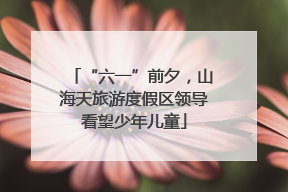 “六一”前夕，山海天旅游度假区领导看望少年儿童