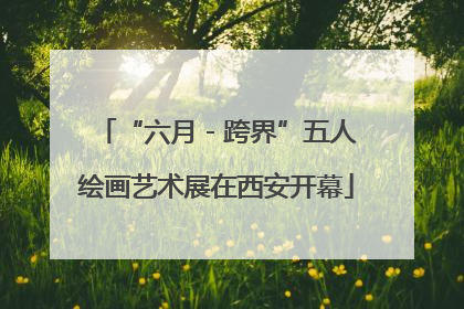 “六月 - 跨界”五人绘画艺术展在西安开幕