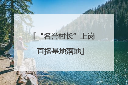 “名誉村长”上岗 直播基地落地