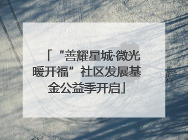 “善耀星城·微光暖开福”社区发展基金公益季开启