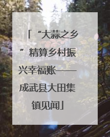 “大蒜之乡”精算乡村振兴幸福账——成武县大田集镇见闻