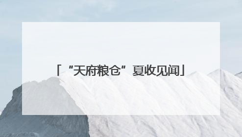 “天府粮仓”夏收见闻