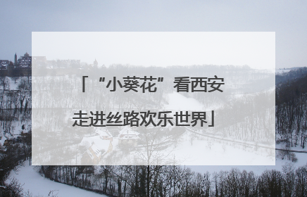 “小葵花”看西安走进丝路欢乐世界