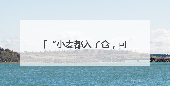 “小麦都入了仓，可以睡个安稳觉了”