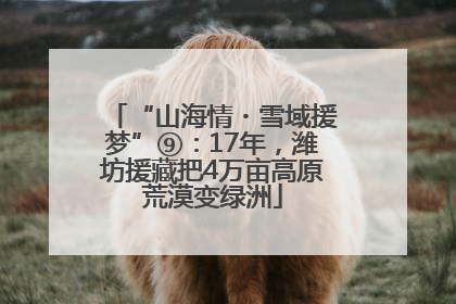“山海情・雪域援梦”⑨：17年，潍坊援藏把4万亩高原荒漠变绿洲