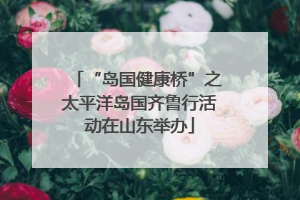 “岛国健康桥”之太平洋岛国齐鲁行活动在山东举办