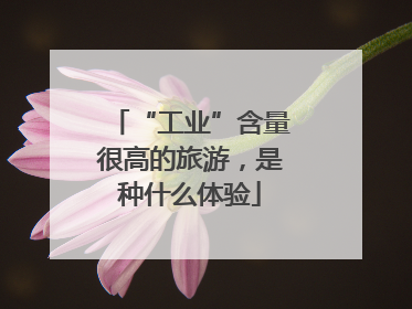 “工业”含量很高的旅游，是种什么体验