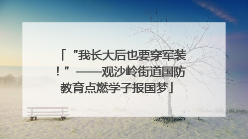 “我长大后也要穿军装！”——观沙岭街道国防教育点燃学子报国梦