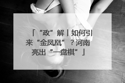 “政”解丨如何引来“金凤凰”？河南亮出“一盘棋”