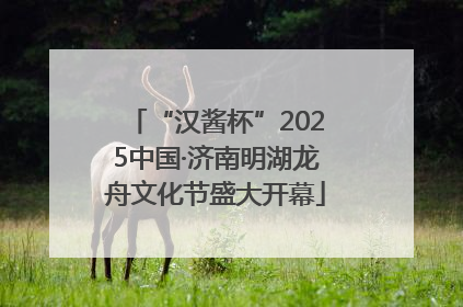 “汉酱杯”2025中国·济南明湖龙舟文化节盛大开幕