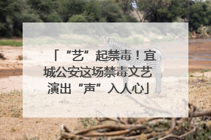 “艺”起禁毒！宜城公安这场禁毒文艺演出“声”入人心