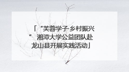 “芙蓉学子·乡村振兴” 湘潭大学公益团队赴龙山县开展实践活动