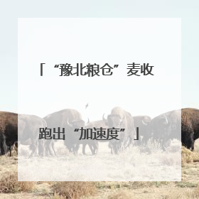 “豫北粮仓”麦收跑出“加速度”